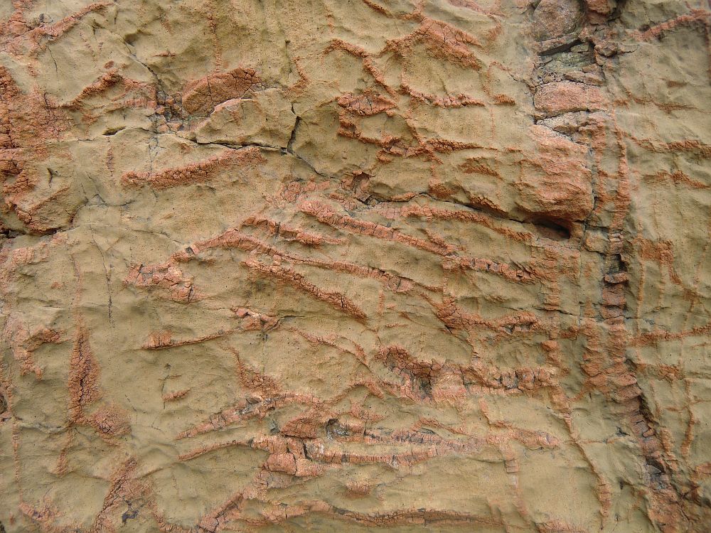 Ockergelbes Gestein mit roten Einschlssen